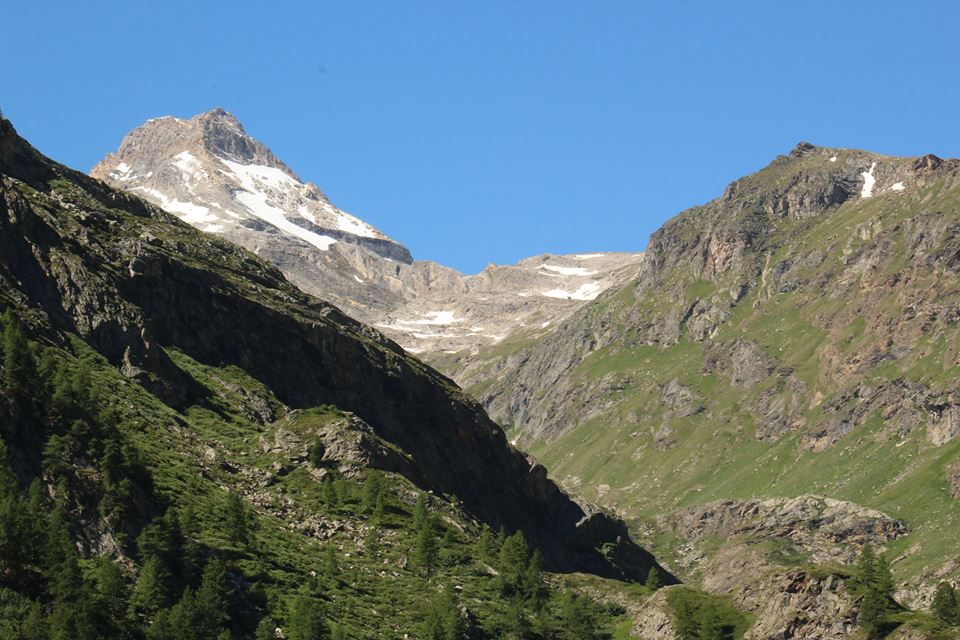 Foto01